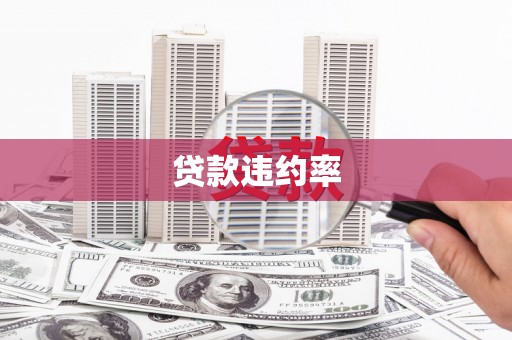 大邑贷款违约率