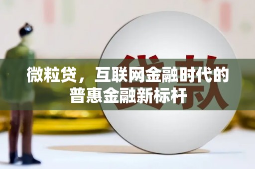 大邑微粒贷，互联网金融时代的普惠金融新标杆