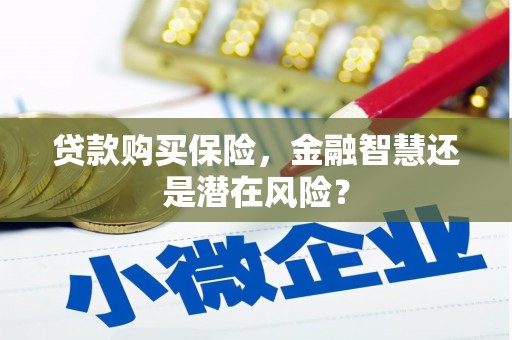 大邑贷款购买保险，金融智慧还是潜在风险？