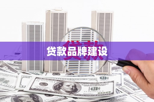 大邑贷款品牌建设