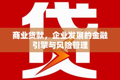 大邑商业贷款，企业发展的金融引擎与风险管理