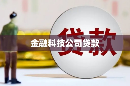 大邑金融科技公司贷款