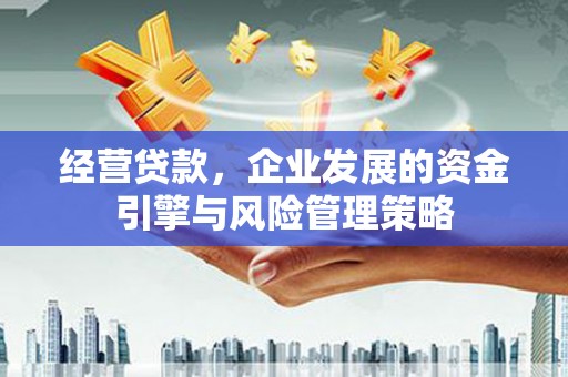 大邑经营贷款，企业发展的资金引擎与风险管理策略