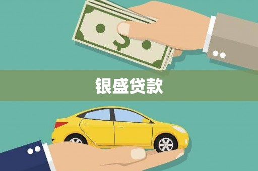 大邑银盛贷款