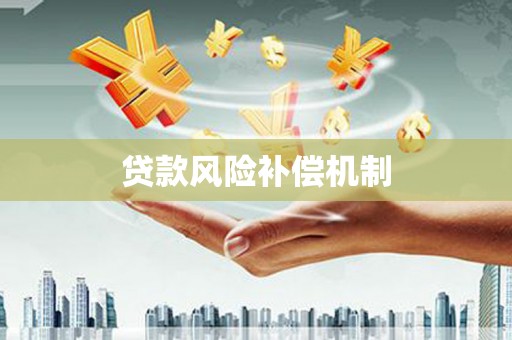 大邑贷款风险补偿机制