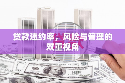大邑贷款违约率，风险与管理的双重视角