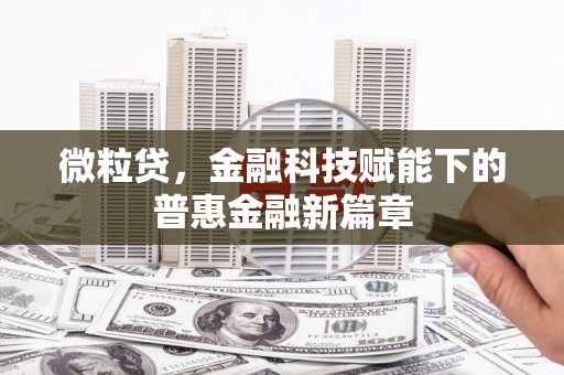 大邑微粒贷，金融科技赋能下的普惠金融新篇章