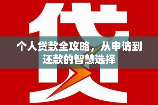 大邑个人贷款全攻略，从申请到还款的智慧选择