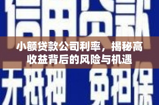 大邑小额贷款公司利率，揭秘高收益背后的风险与机遇