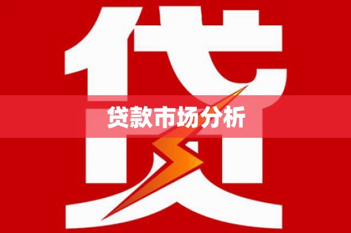 大邑贷款市场分析