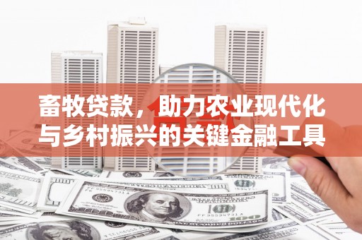 大邑畜牧贷款，助力农业现代化与乡村振兴的关键金融工具