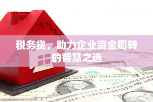 大邑税务贷，助力企业资金周转的智慧之选