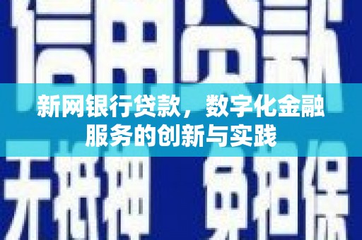 大邑新网银行贷款，数字化金融服务的创新与实践