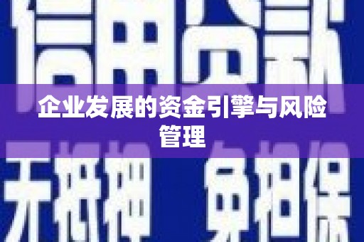 大邑企业发展的资金引擎与风险管理