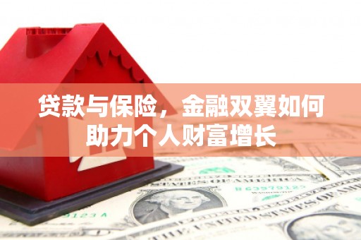 大邑贷款与保险，金融双翼如何助力个人财富增长
