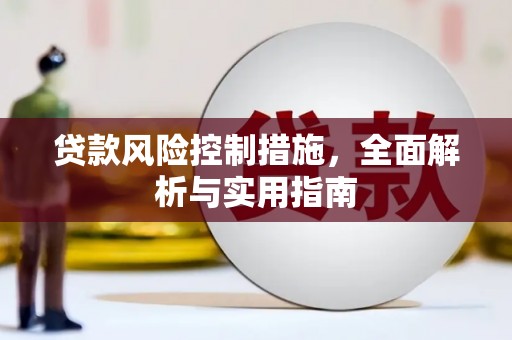 大邑贷款风险控制措施，全面解析与实用指南