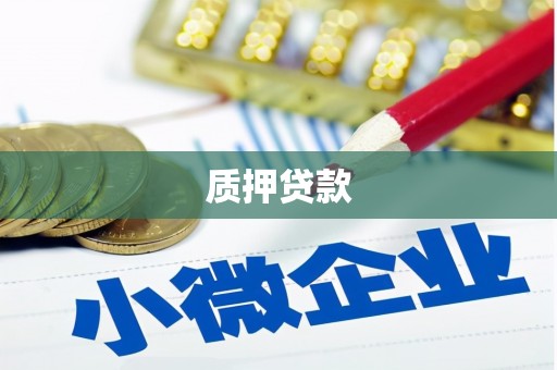 大邑质押贷款