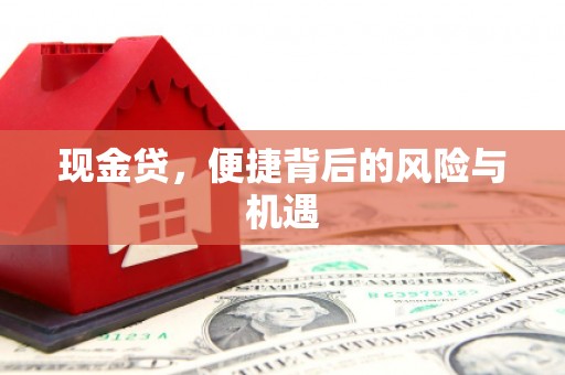 大邑现金贷，便捷背后的风险与机遇