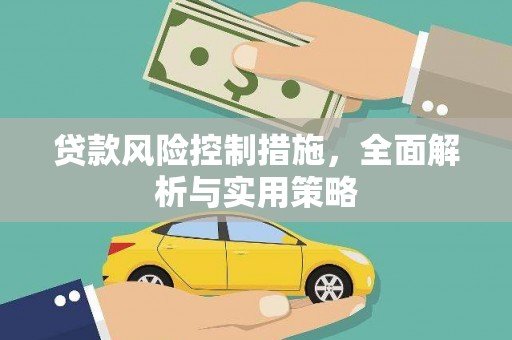 大邑贷款风险控制措施，全面解析与实用策略