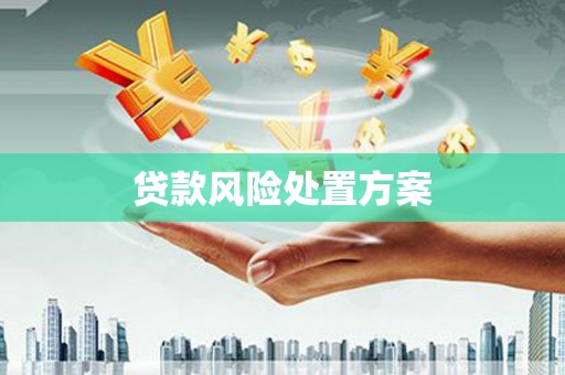 大邑贷款风险处置方案