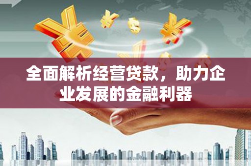 大邑全面解析经营贷款，助力企业发展的金融利器