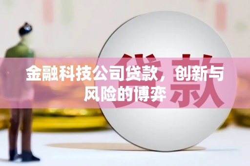 大邑金融科技公司贷款，创新与风险的博弈