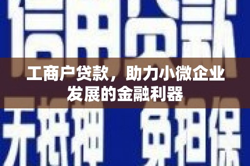 大邑工商户贷款，助力小微企业发展的金融利器