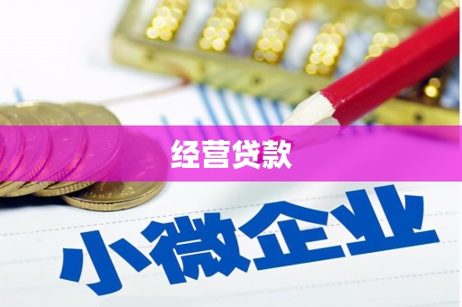 大邑经营贷款