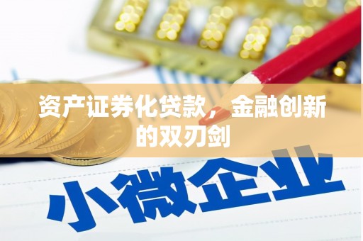 大邑资产证券化贷款，金融创新的双刃剑