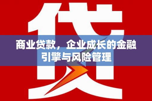 大邑商业贷款，企业成长的金融引擎与风险管理