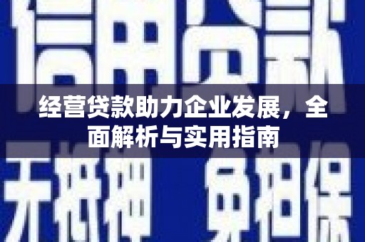 大邑经营贷款助力企业发展，全面解析与实用指南