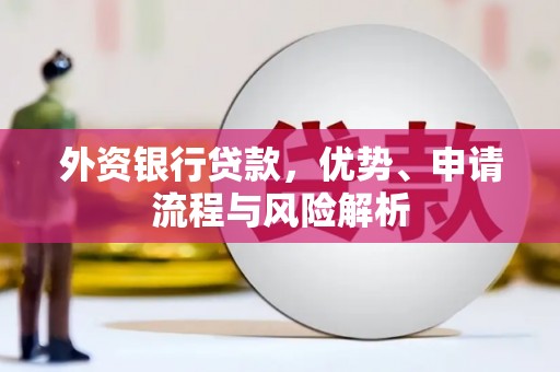 大邑外资银行贷款，优势、申请流程与风险解析