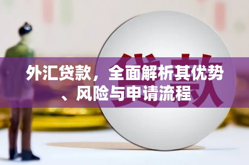 大邑外汇贷款，全面解析其优势、风险与申请流程