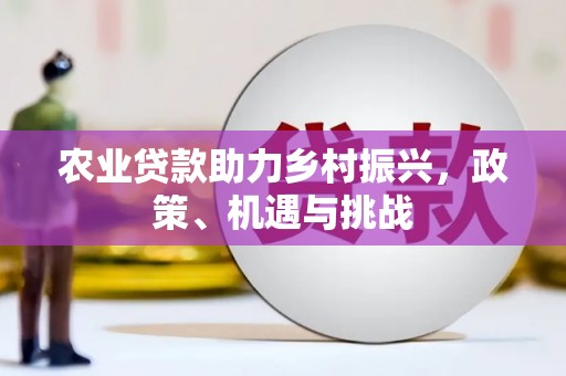 大邑农业贷款助力乡村振兴，政策、机遇与挑战