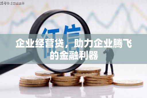 大邑企业经营贷，助力企业腾飞的金融利器