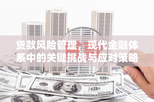 大邑贷款风险管理，现代金融体系中的关键挑战与应对策略