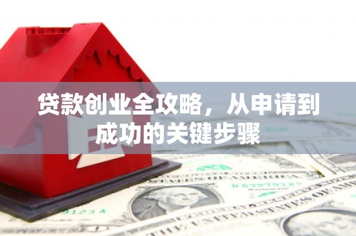 大邑贷款创业全攻略，从申请到成功的关键步骤