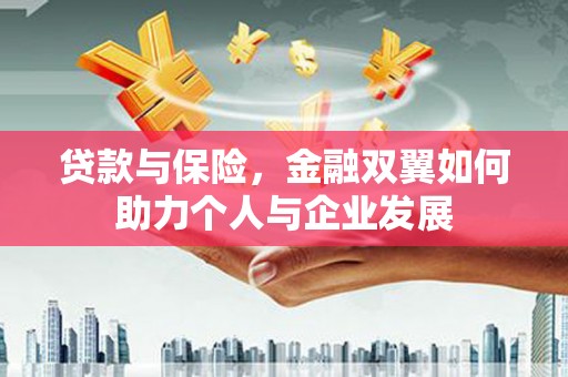 大邑贷款与保险，金融双翼如何助力个人与企业发展