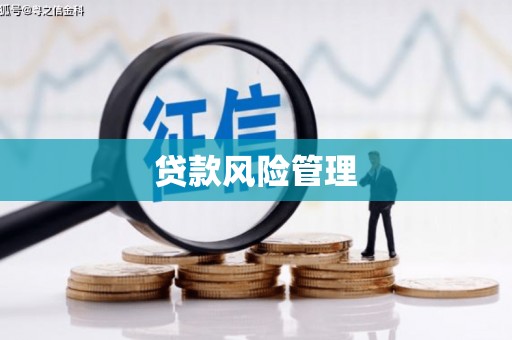 大邑贷款风险管理