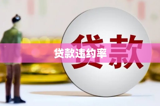 大邑贷款违约率