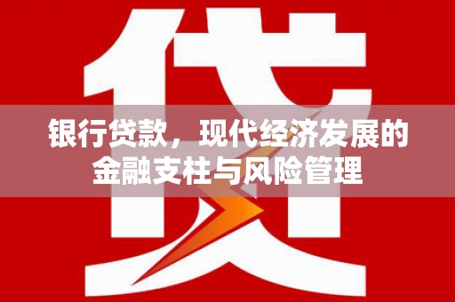 大邑银行贷款，现代经济发展的金融支柱与风险管理