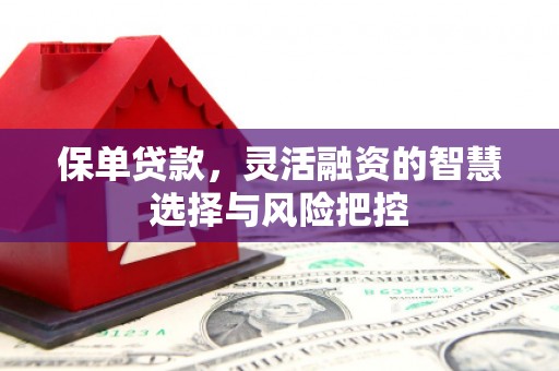 大邑保单贷款，灵活融资的智慧选择与风险把控