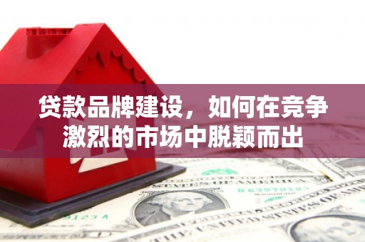 大邑贷款品牌建设，如何在竞争激烈的市场中脱颖而出