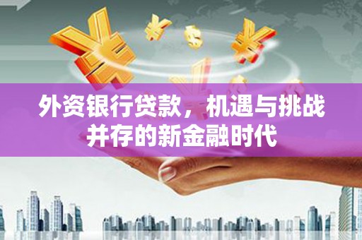 大邑外资银行贷款，机遇与挑战并存的新金融时代