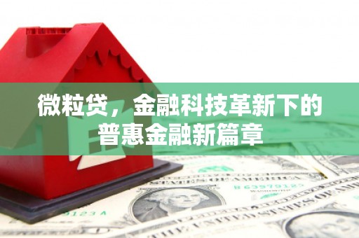 大邑微粒贷，金融科技革新下的普惠金融新篇章