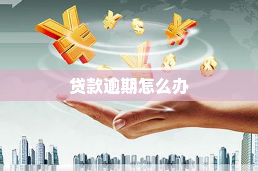 大邑贷款逾期怎么办