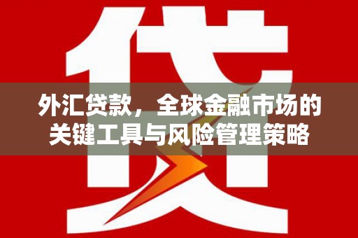 大邑外汇贷款，全球金融市场的关键工具与风险管理策略