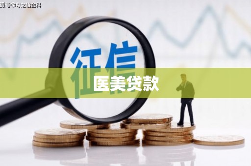 大邑医美贷款