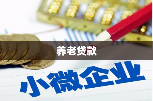 大邑养老贷款