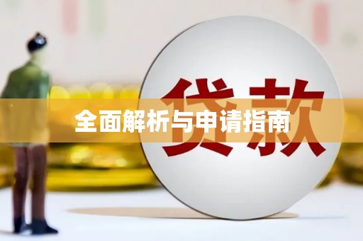 大邑全面解析与申请指南